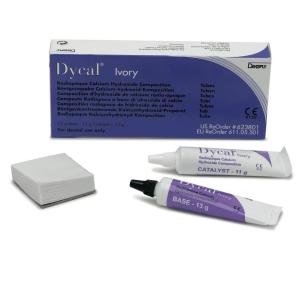 Pâte à l’hydroxyde de calcium  Dentsply Sirona